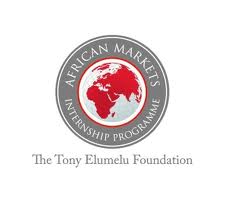 Applications are now open for the 2014 Elumelu Professionals Programme