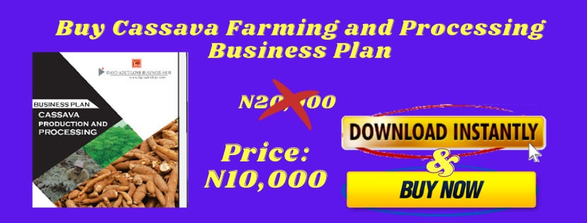 business plan on cassava production
