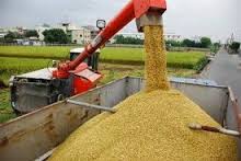 RICE Milling Business Plan