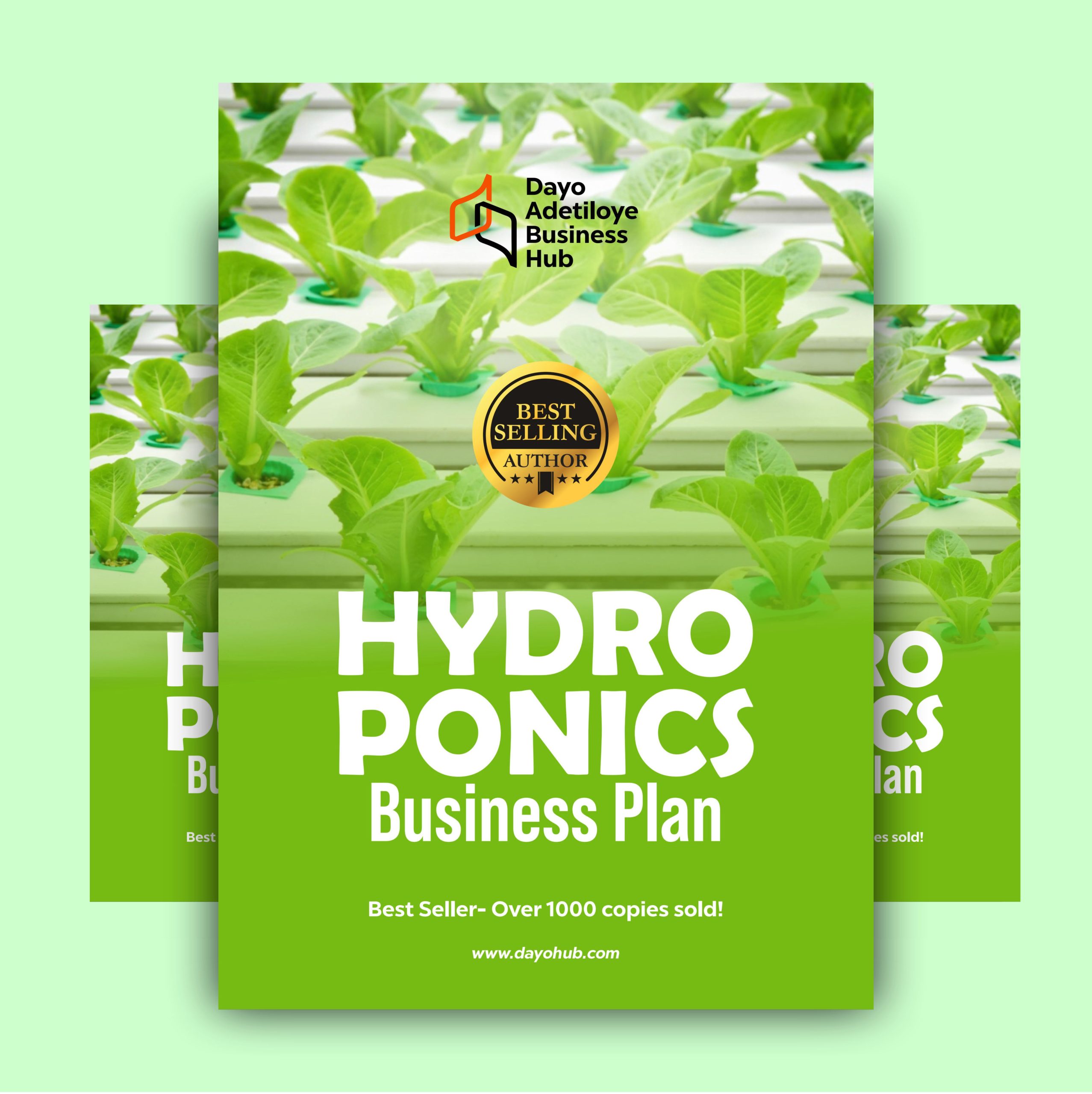 HYDROPONICS BUSINESS PLAN IN NIGERIA