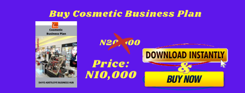 cosmetics business plan in nigeria pdf