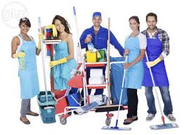 Executive Summary of General Cleaning Business Plan in Nigeria