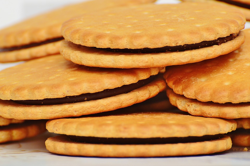 Biscuit Production Business Plan in Nigeria