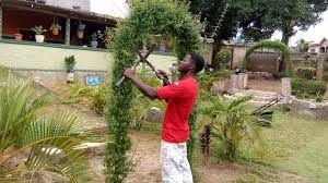 Agriculture business plan picture