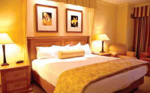 Mattress companies image