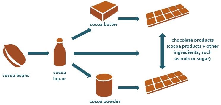 business plan for cocoa farming