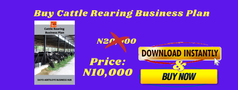 cattle rearing business plan pdf