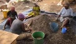 PALM KERNEL OIL EXTRACTION BUSINESS PLAN IN NIGERIA
