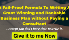 A Fail-Proof Formula To Writing A Grant Winning and Bankable Business Plan without Paying a Consultant