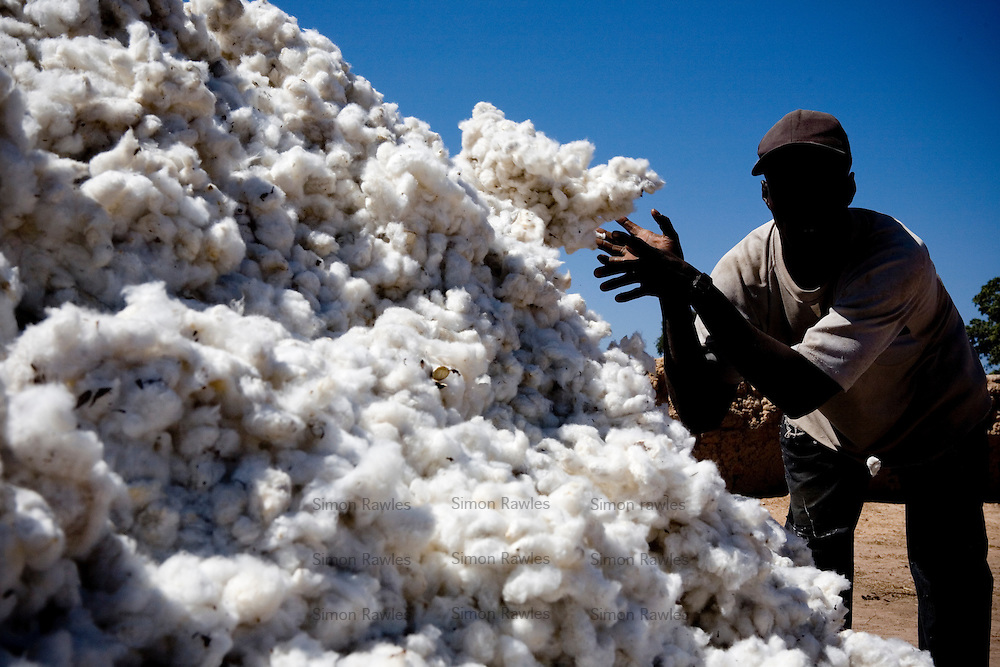 COTTON FARMING AND PROCESSING BUSINESS PLAN IN NIGERIA