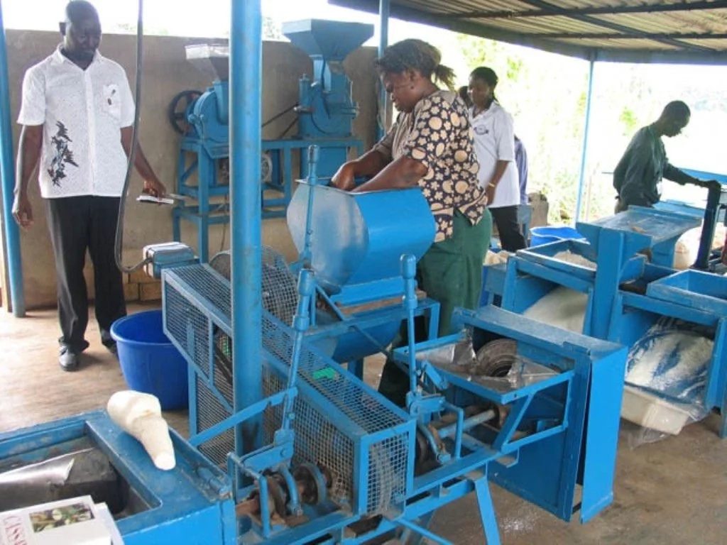 business plan on cassava processing