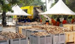 HOW TO START A PROFITABLE CASSAVA PROCESSING BUSINESS By Uwem Bassey