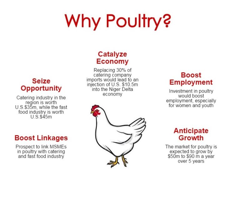 12 ways to profit from the Poultry Value Chain in Nigeria Youth