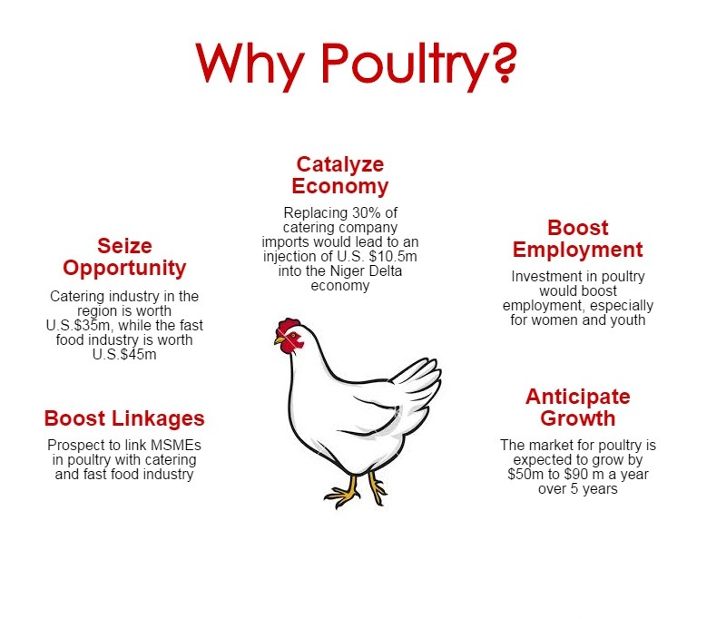 12 ways to profit from the Poultry Value Chain in Nigeria Youth