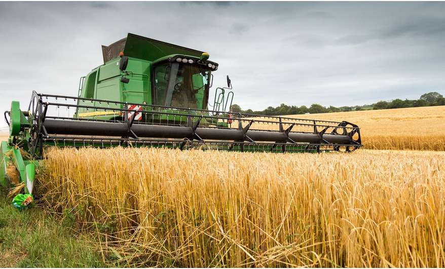 How To Start A Rice Production BusinessCost, Implication, Requirement