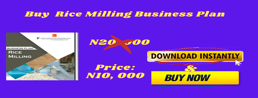 rice processing business plan in nigeria pdf