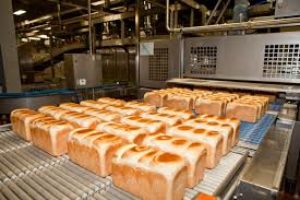 business plan for bread bakery in nigeria