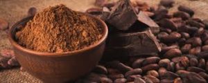 Executive Summary of Cocoa Farming Business Plan in Nigeria