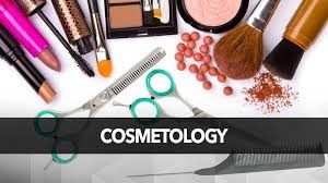 Executive Summary of Cosmetology Business Plan in Nigeria.