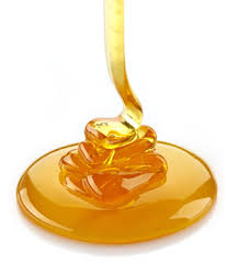 Executive Summary of Honey Business Plan in Nigeria.