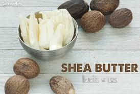 Executive Summary of Shea Butter Business Plani in Nigeria