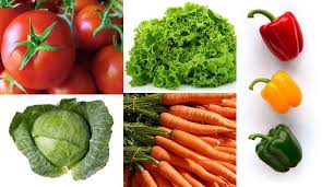 Executive Summary of Vegetable Farming Business Plan in Nigeria