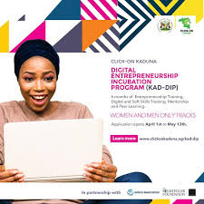 Digital Entrepreneurship Incubation Program for Kaduna Residents.