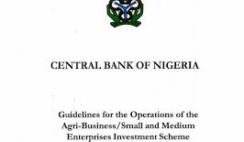 Apply for N10 million CBN AGSMEIS 5% Loan Today.