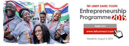 The TEF-UNDP Sahel Youth Entrepreneurship Programme 2019 FAQs for Northern Nigeria, Niger, Chad, Cameroun, Mauritania, Mali and Burkina Faso