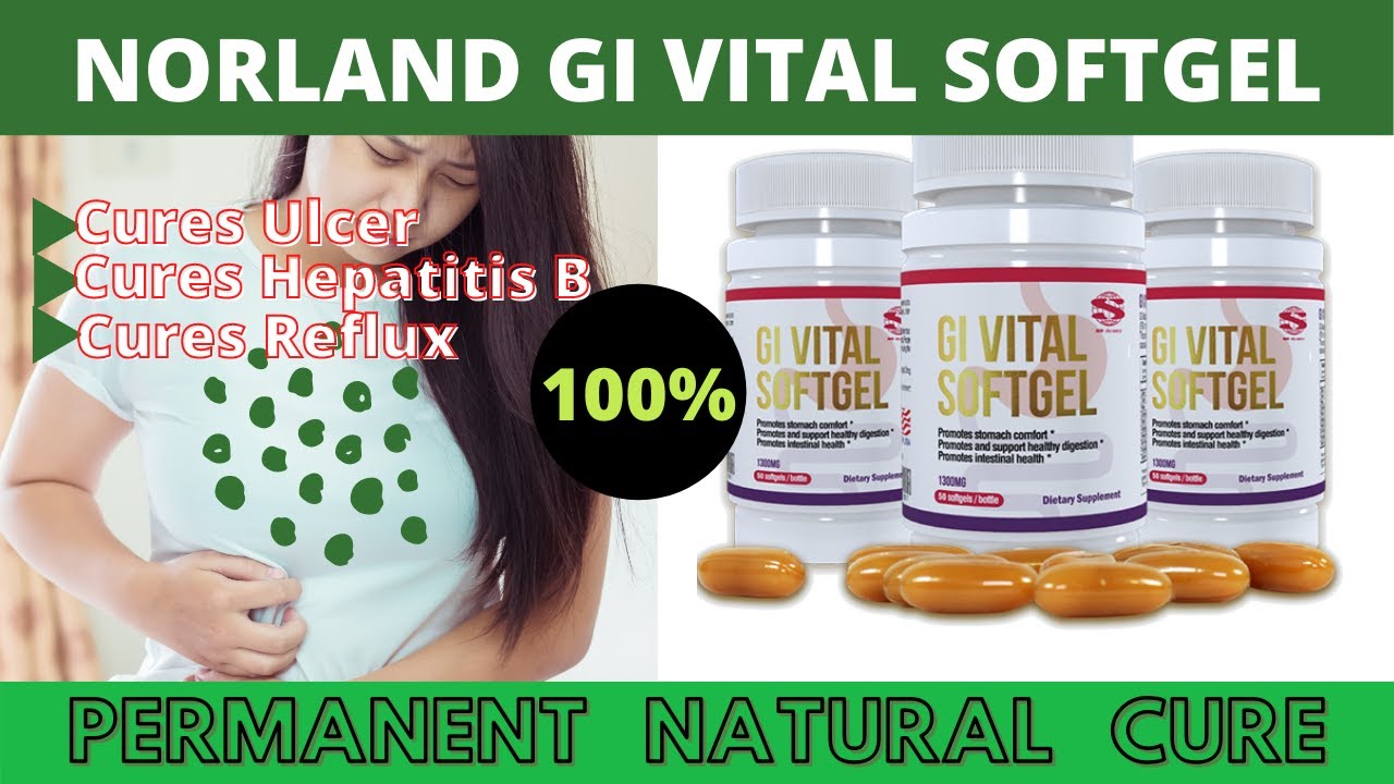 How to Buy Norland GI Vital Softgel formally Mebo Gi