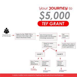 Top 117 Ideas and 27 sectors that can Win the Tony Elumelu Foundation $5000 Grant in year 2020 for 54 African Countries.