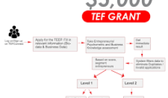 Tony Elumelu $5000 Grant closes this month. Free Guide [E-Book+Video]