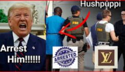 See what Hushpuppi and Donald Trump have in Common