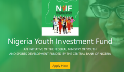 Nigeria Youth Investment Fund: How to apply and Access up to N3million Credit Facility with 5% Interest rate for 5 years
