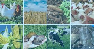6 Beautiful Specializations in Agriculture business for intending Farmers