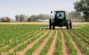8 Important AgriTech Solutions Which Nigerian Farmers Should Invest into Scale Production and Increase Profitability