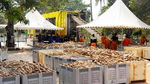 How to build a multi-million-naira cassava processing venture in Nigeria