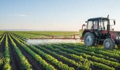 5 rich farmers in Nigeria and the lessons to learn from them 5 rich farmers in Nigeria and the lessons to learn from them