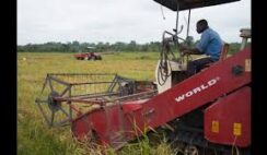 Top 5 Agric Companies in Nigeria that farmers should learn from Top 5 Agric Companies in Nigeria that farmers should learn from