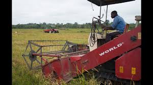 Top 5 Agric Companies in Nigeria that farmers should learn from