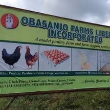 Top 5 Agric Companies in Nigeria that farmers should learn from