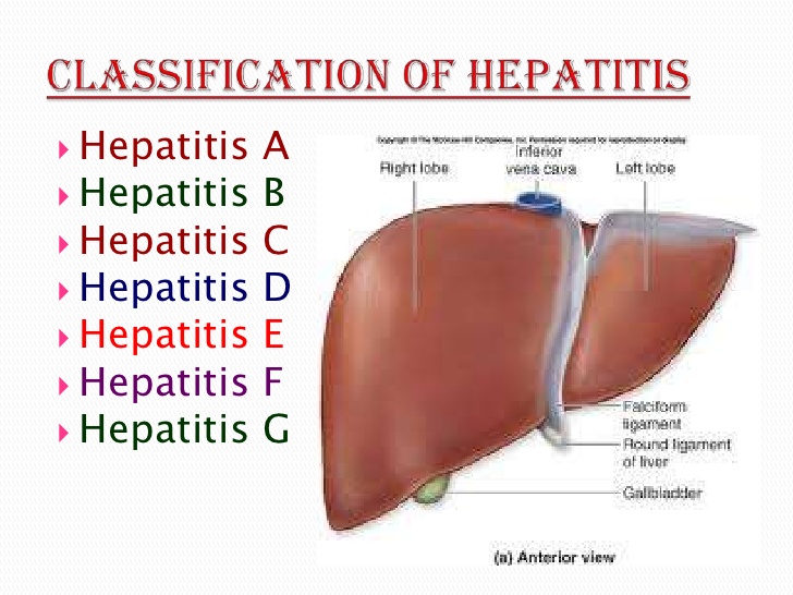 How to treat Hepatitis (Inflammation of the Liver) with Norland Products in Nigeria