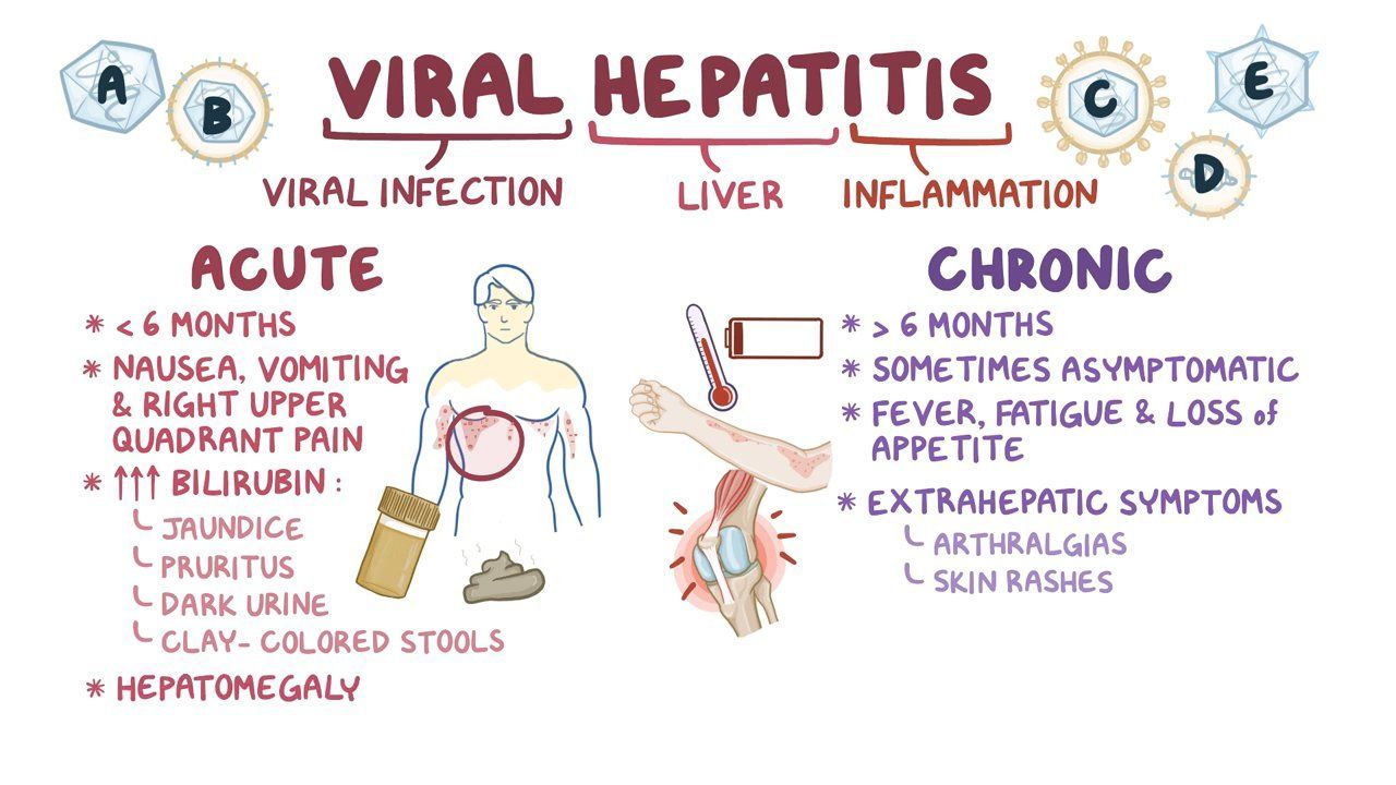 How to treat Hepatitis (Inflammation of the Liver) with Norland Products in Nigeria