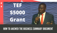 Video Training: How to Answer the Business Summary Document of Tony Elumelu Foundation $5000 Grant