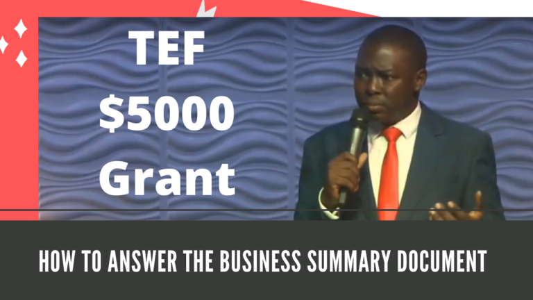 Video Training: How to Answer the Business Summary Document of Tony Elumelu Foundation $5000 Grant