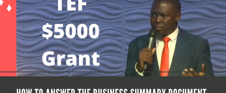 Video Training: How to Answer the Business Summary Document of Tony Elumelu Foundation $5000 Grant