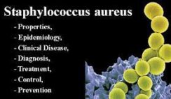 How to Treat Staphylococcus and E.coli with Norland Products in Nigeria