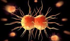 How to Treat Gonorrhoea in Men and Women with Norland Products in Nigeria