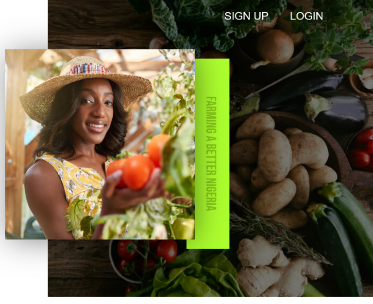 Apply for Agric Loan from Sterling bank in partnership with Mastercard Foundation in Nigeria