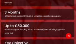 Apply for €10,000 of TEF Alumni Network Women Entrepreneurship for Africa (WE4A)